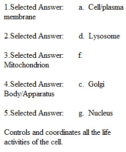 Test on Unit 2